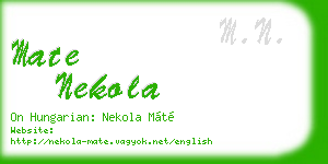 mate nekola business card